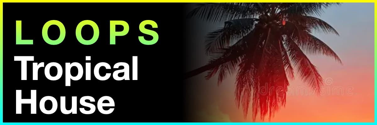 Loops Tropical House banner featuring a palm tree silhouette against a sunset